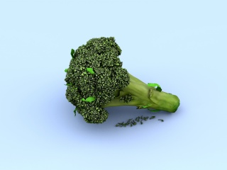 绿色花菜C4D模型