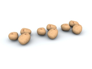 土豆C4D模型
