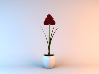 红色室内植物C4D模型