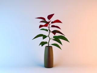 一品红盆栽C4D模型