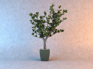 室内植物C4D模型