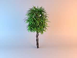 尖叶灌木C4D模型