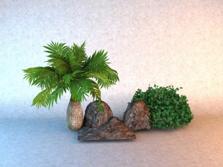 热带灌木C4D模型
