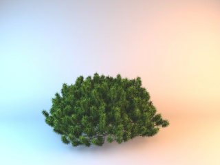 公园灌木C4D模型