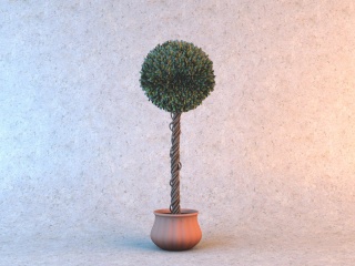 圆形树冠盆栽C4D模型