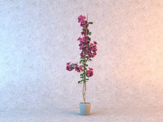 粉红花朵盆栽C4D模型