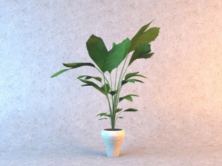 大叶绿色植物C4D模型