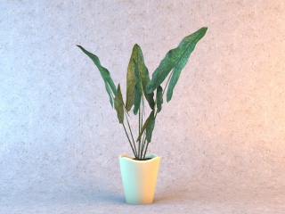绿色观叶植物C4D模型