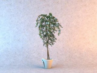 白色花朵绿植C4D模型