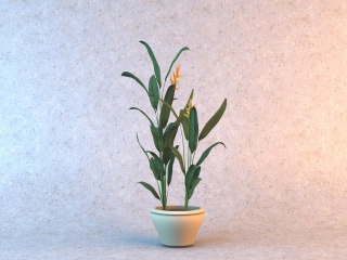 黄色花朵绿叶植物C4D模型