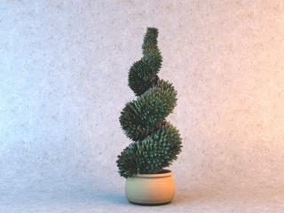 螺旋观叶植物C4D模型