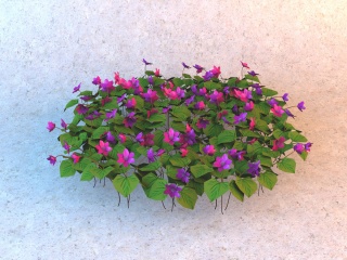 紫色小花C4D模型
