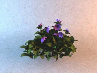 六瓣紫色花朵C4D模型