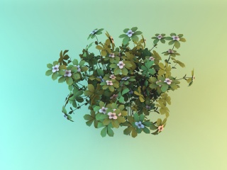 四叶白花植物C4D模型