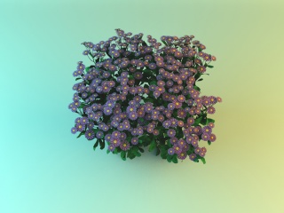 紫色雏菊C4D模型