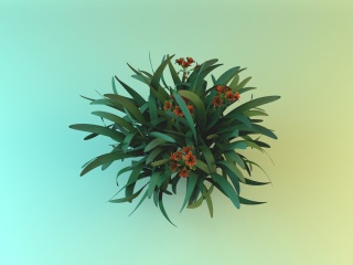 橘色小花植物C4D模型