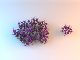 紫色水仙花C4D模型