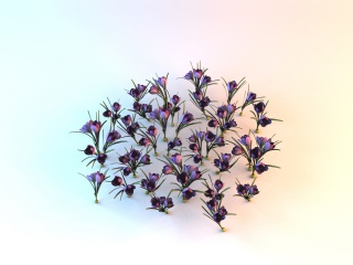 紫色园艺花朵C4D模型