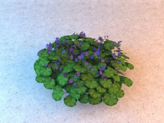小朵紫色花卉C4D模型