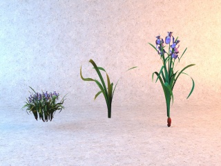 紫色花卉C4D模型