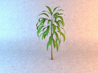 狭长绿叶植物C4D模型