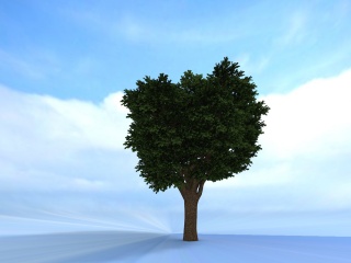 园林树C4D模型