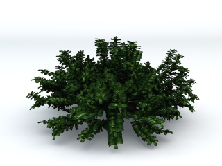 灌木丛C4D模型
