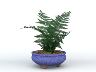 室内植物盆栽C4D模型