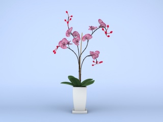 粉色花盆栽C4D模型