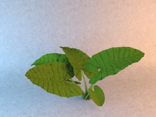 绿化小草C4D模型