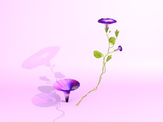 紫色喇叭花C4D模型