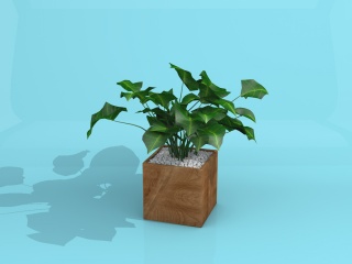 室内盆栽植物C4D模型