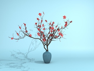 梅花植物C4D模型