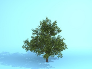 绿化环境苗木C4D模型