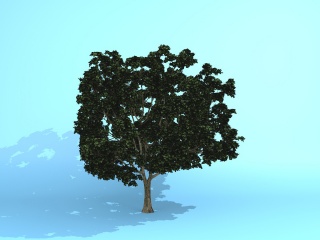 绿化环境苗木C4D模型