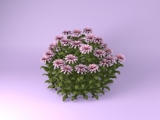 粉色野花C4D模型