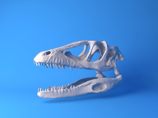 恐龙头骨C4D模型