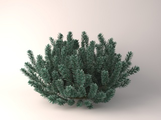 户外植物C4D模型