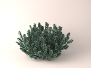 绿色灌木C4D模型