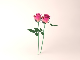 粉色玫瑰花免费模型c4d模型下载