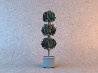 盆栽植物C4D模型