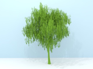 柳树C4D模型