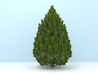 小型灌木C4D模型