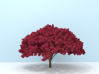 红叶树C4D模型