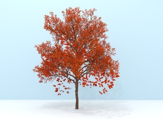 粉色树C4D模型
