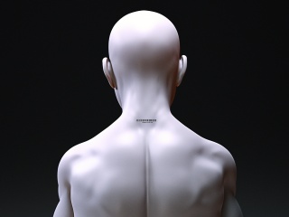 人体背景C4D模型