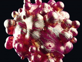 现代科技红巨噬细胞C4D模型