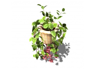 现代植物盆栽C4D模型
