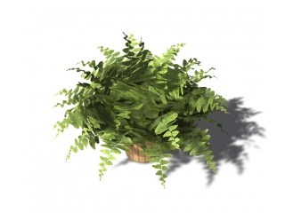 现代绿植花盆C4D模型