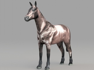 野生动物马C4D模型